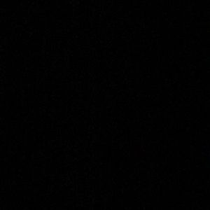 Meet your Posher, Tristin